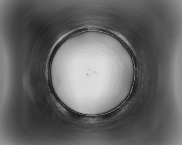 X0000086230791200704191758