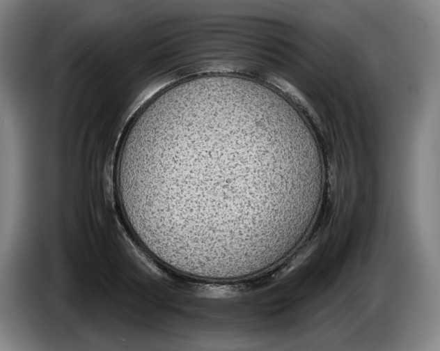 X0000086230794200704191758