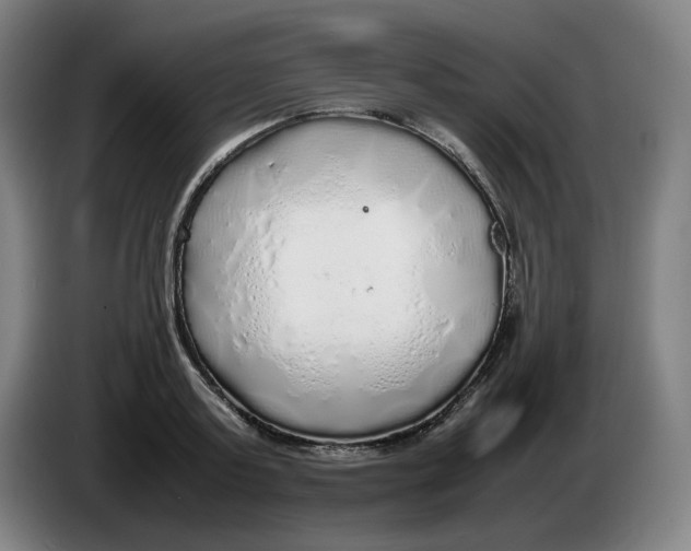 X0000086230795200704191758