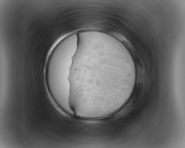 X0000086230796200704191758