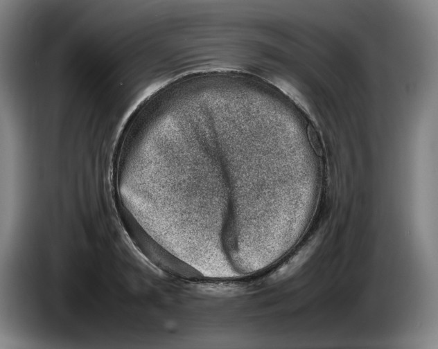 X0000086230797200704191758