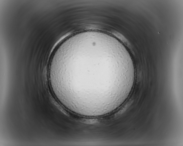 X0000086230798200704191758