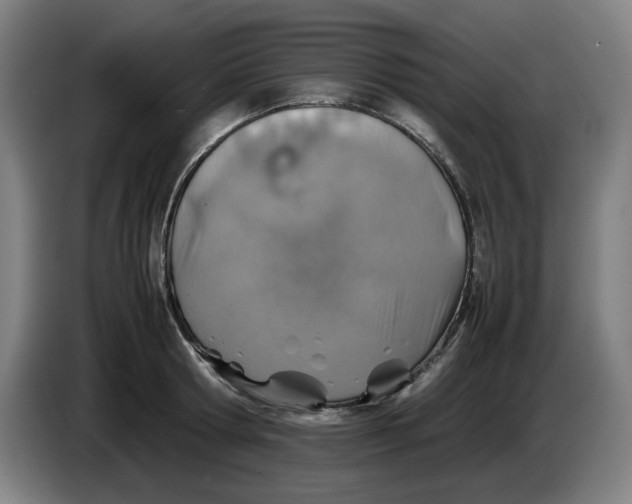 X0000086230802200704191758