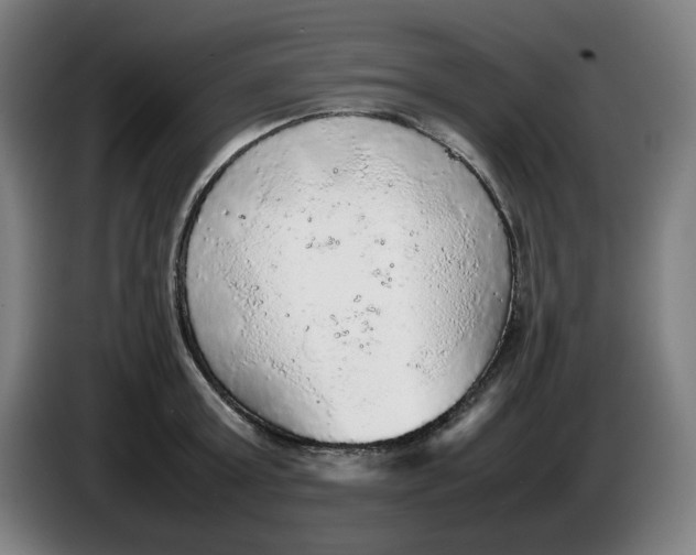 X0000086230803200704191758