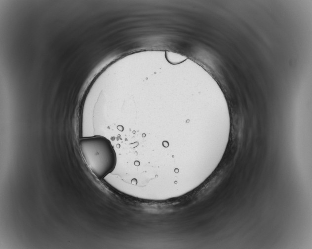 X0000086230804200704191758