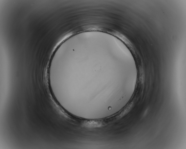 X0000086230806200704191758