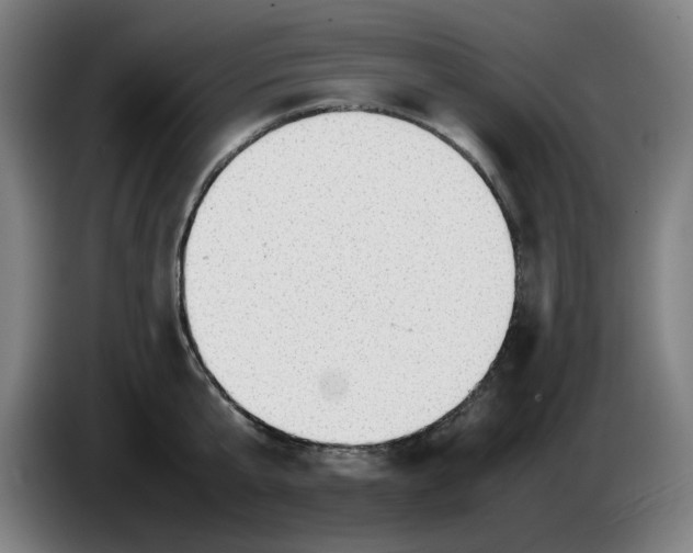 X0000086230807200704191758