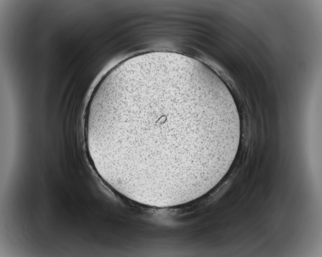 X0000086230808200704191758