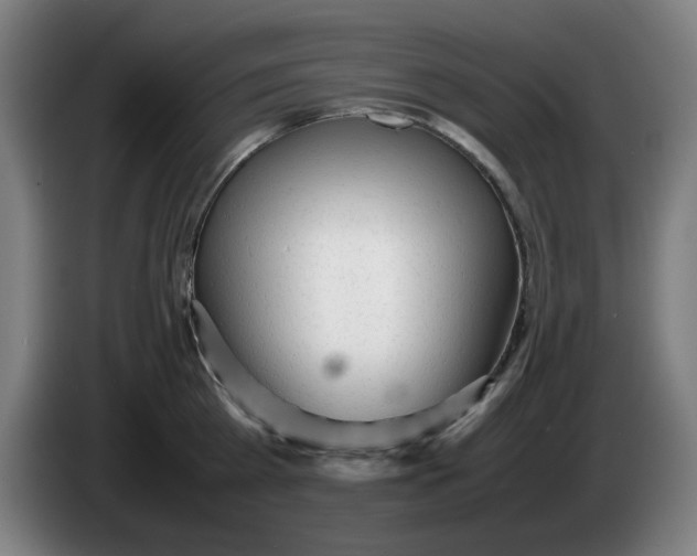 X0000086230809200704191758