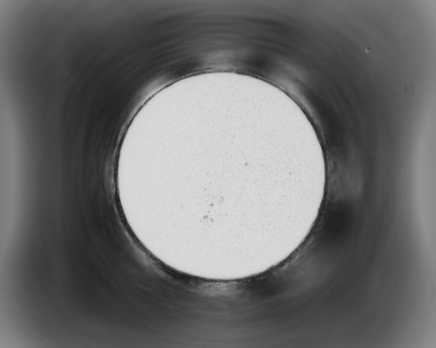 X0000086230810200704191758