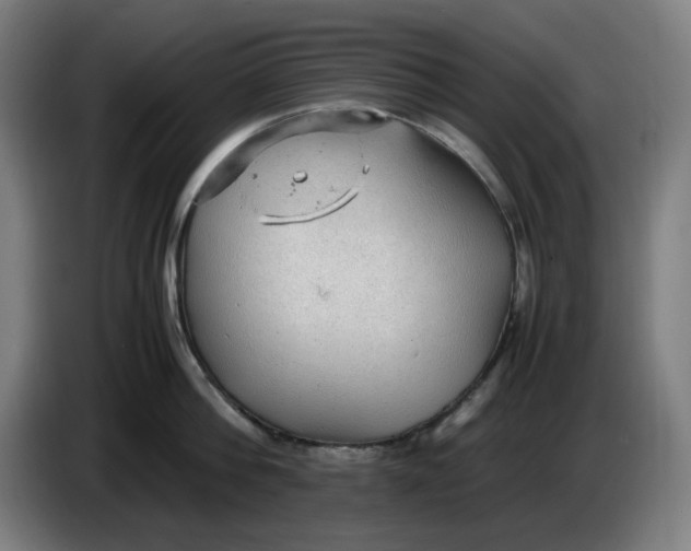 X0000086230812200704191758