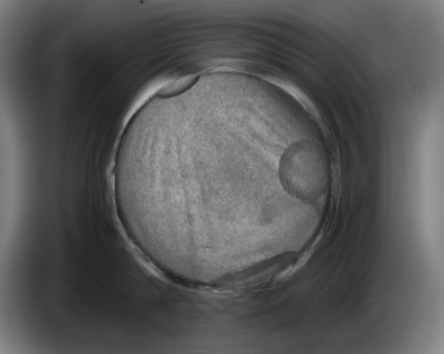 X0000086230814200704191758