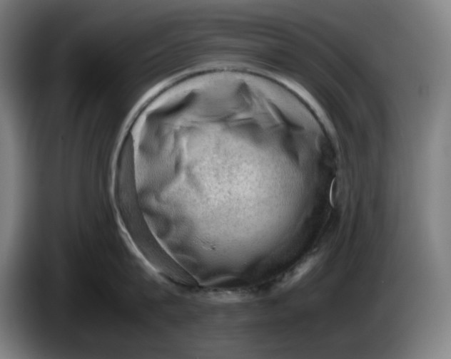 X0000086230815200704191758