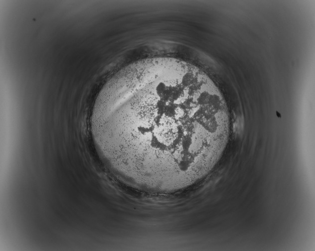 X0000086230819200704191758