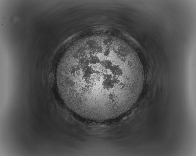 X0000086230821200704191758