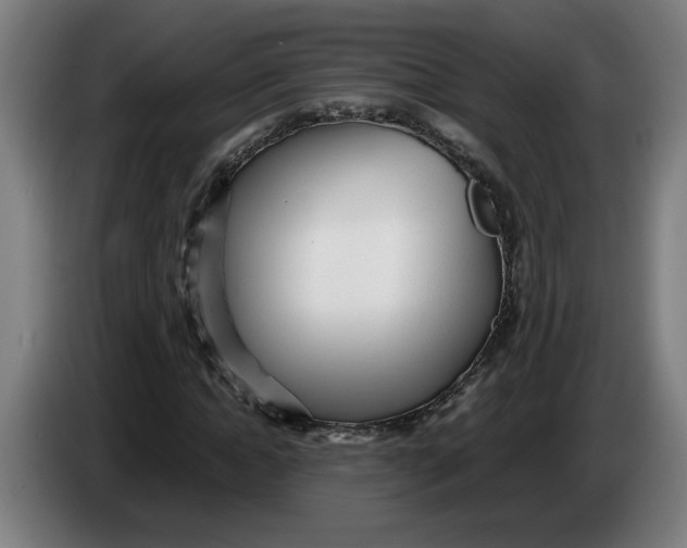 X0000086230822200704191758