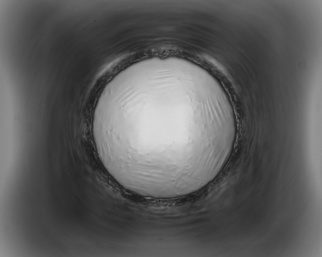 X0000086230823200704191758