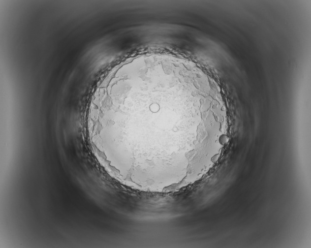 X0000086230824200704191758