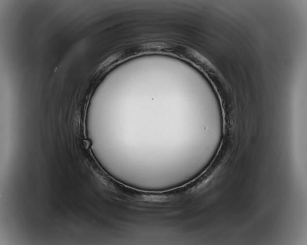 X0000086230825200704191758