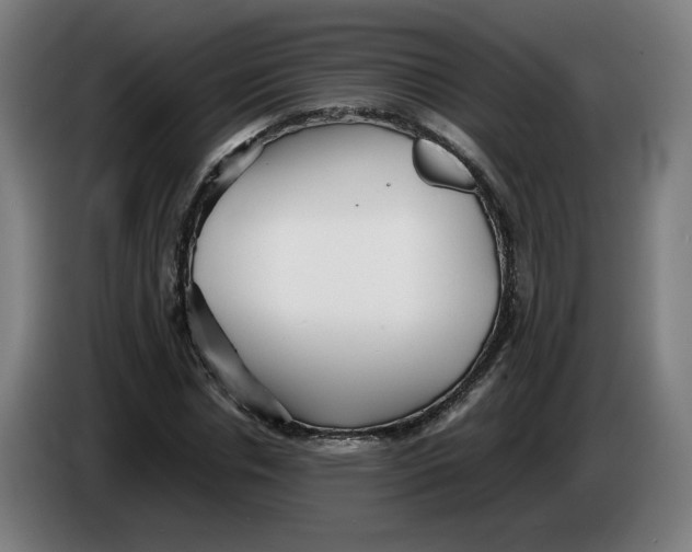 X0000086230826200704191758