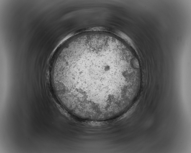 X0000086230827200704191758