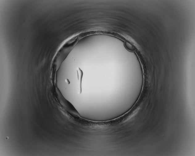 X0000086230830200704191758