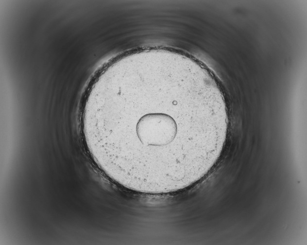 X0000086230832200704191758