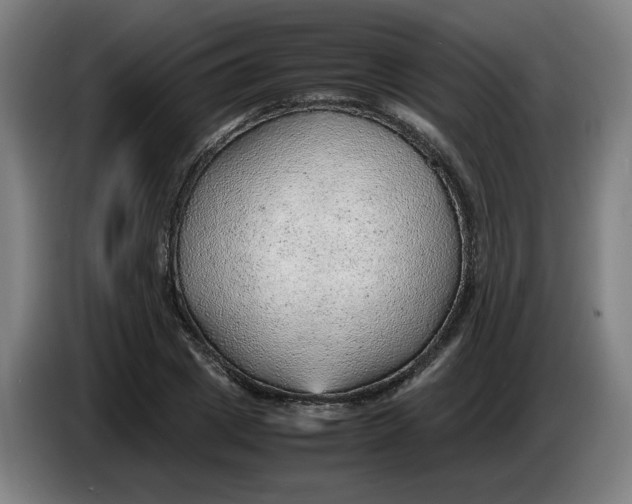 X0000086230833200704191758