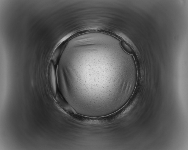 X0000086230834200704191758