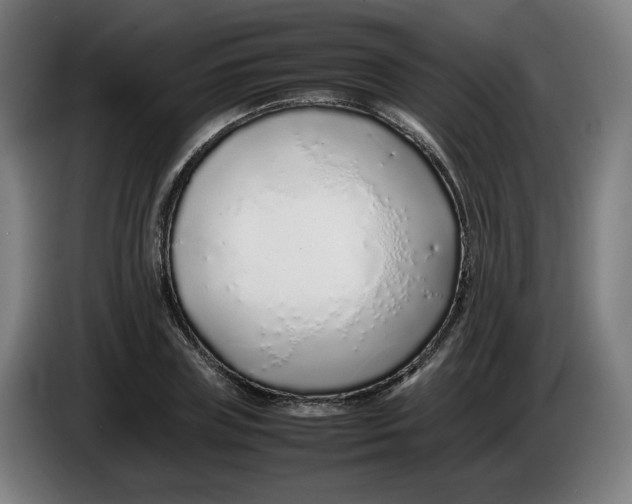 X0000086230835200704191758