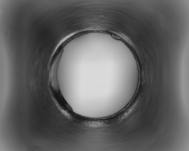 X0000086230838200704191758