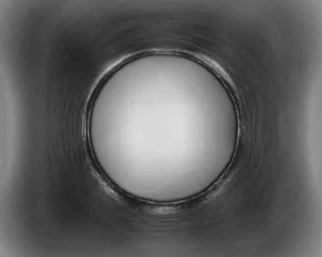 X0000086230839200704191758