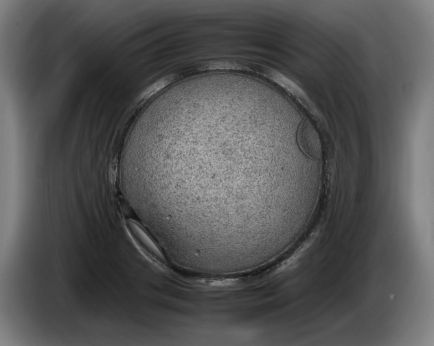 X0000086230841200704191758