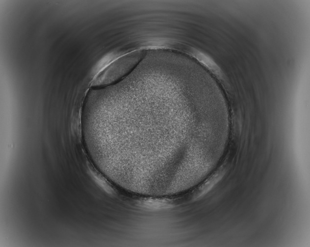 X0000086230842200704191758