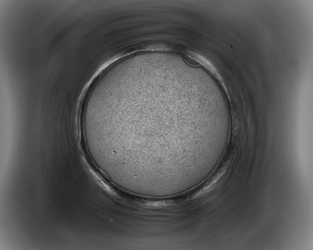 X0000086230843200704191758