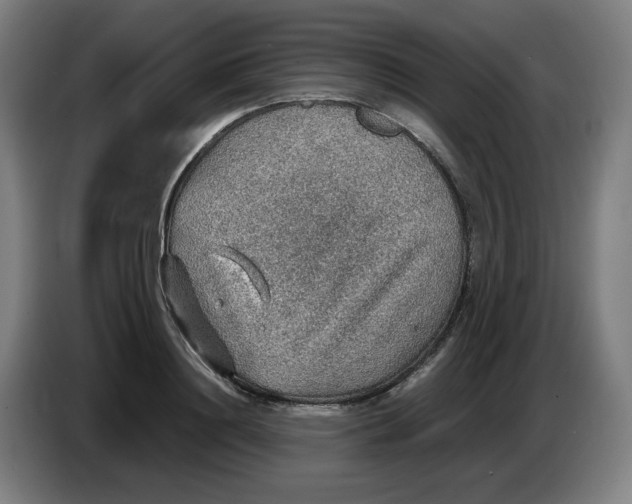 X0000086230844200704191758