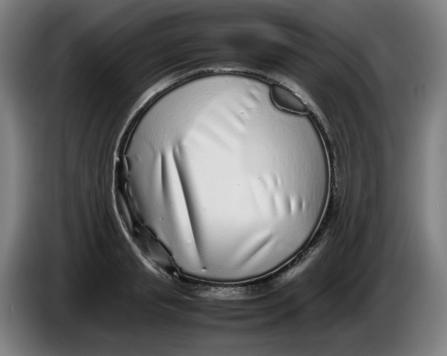 X0000086230845200704191758