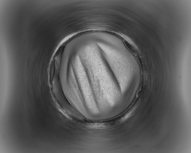 X0000086230846200704191758