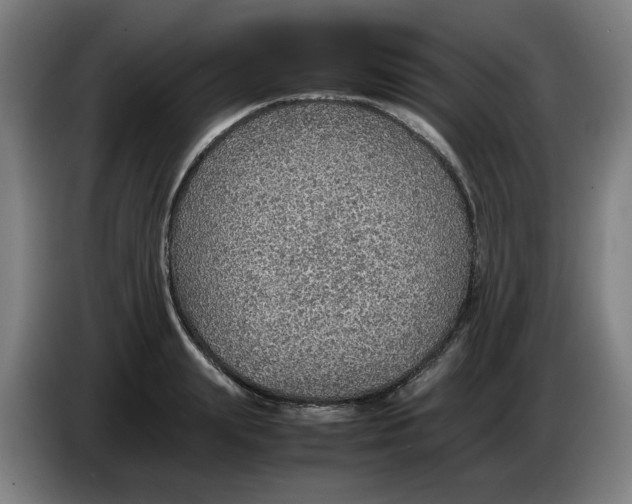 X0000086230847200704191758