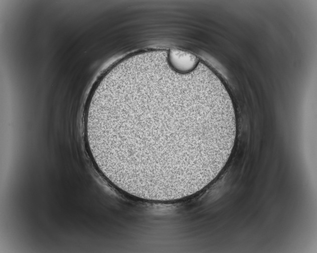 X0000086230848200704191758