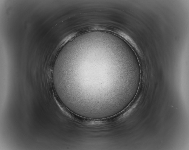 X0000086230849200704191758