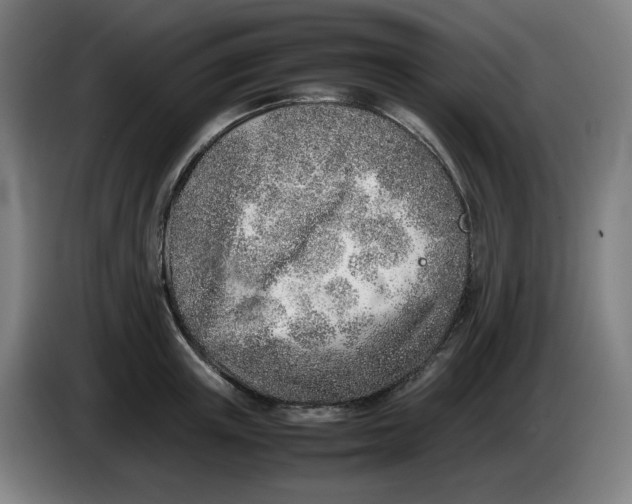 X0000086230851200704191758