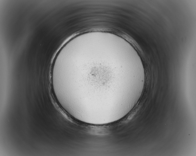 X0000086230852200704191758