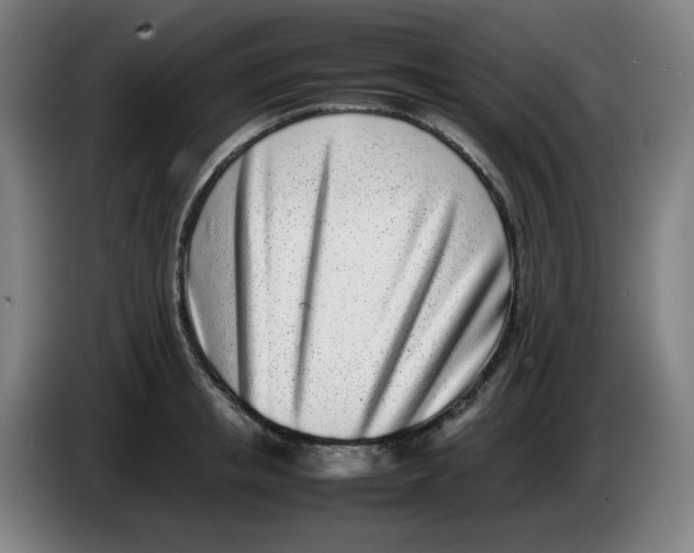 X0000086230853200704191758