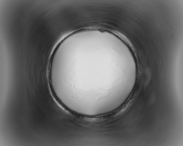 X0000086230855200704191758