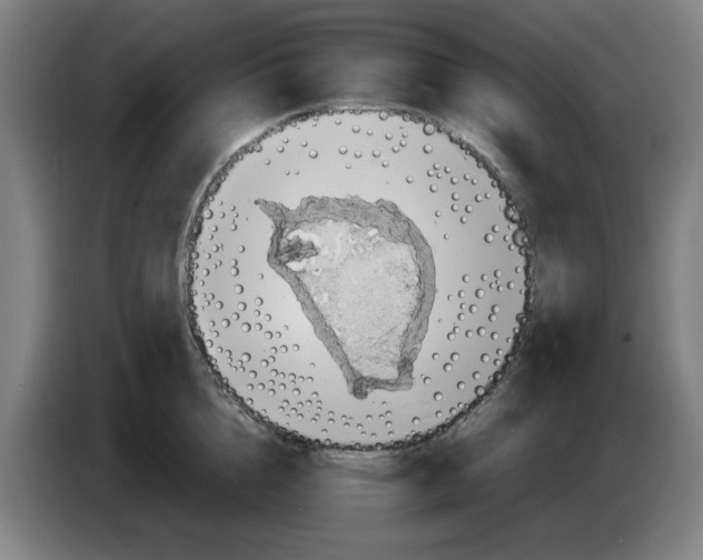 X0000086230856200704191758