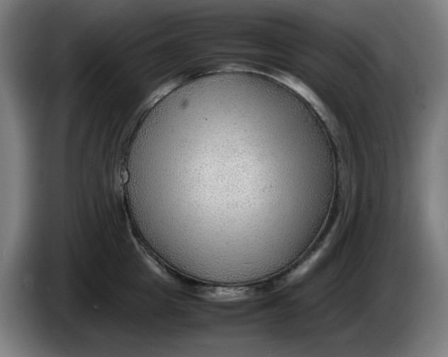 X0000086230857200704191758