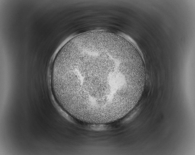 X0000086230859200704191758