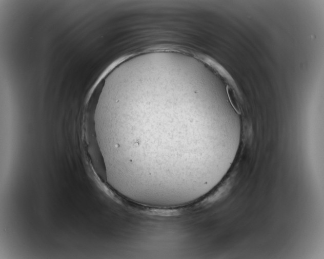 X0000086230860200704191758