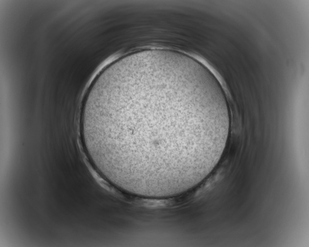 X0000086230861200704191758